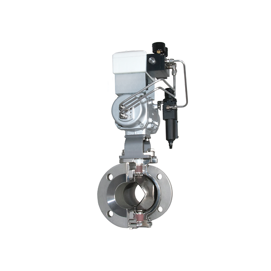 Fisher™ V250 Control Valve VIBTIS