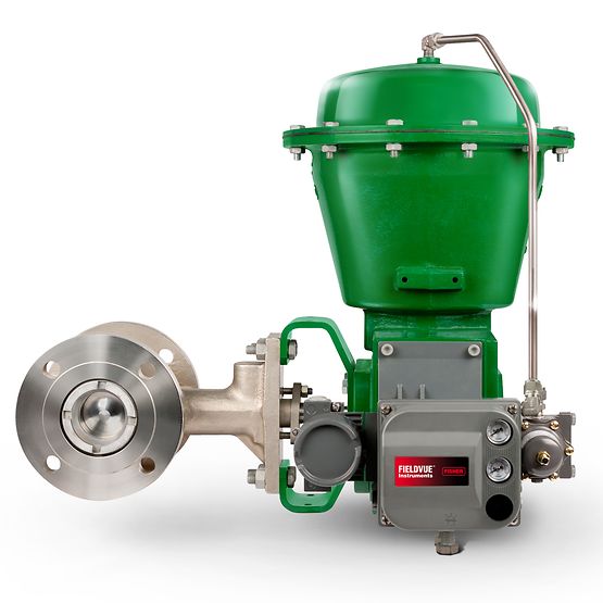 Fisher™ V250 Control Valve VIBTIS