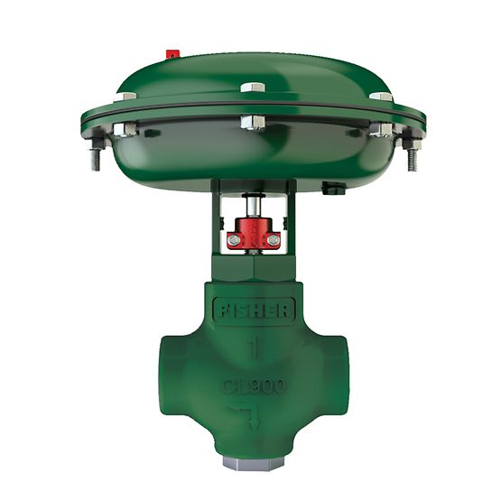 Fisher™ D2T FloPro Control Valve VIBTIS