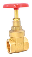 FILTER, CHECK VALVES